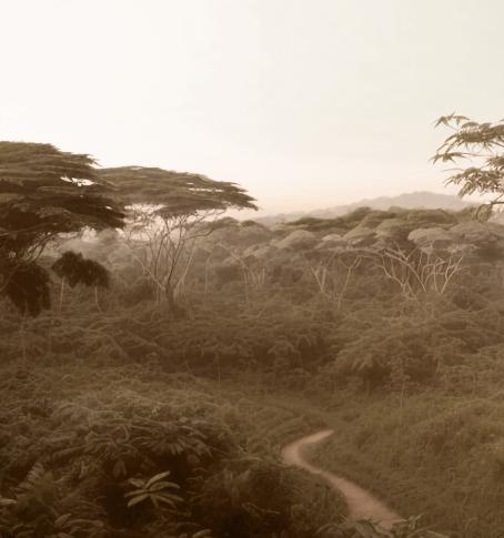 Arboretum of Bujumbura
